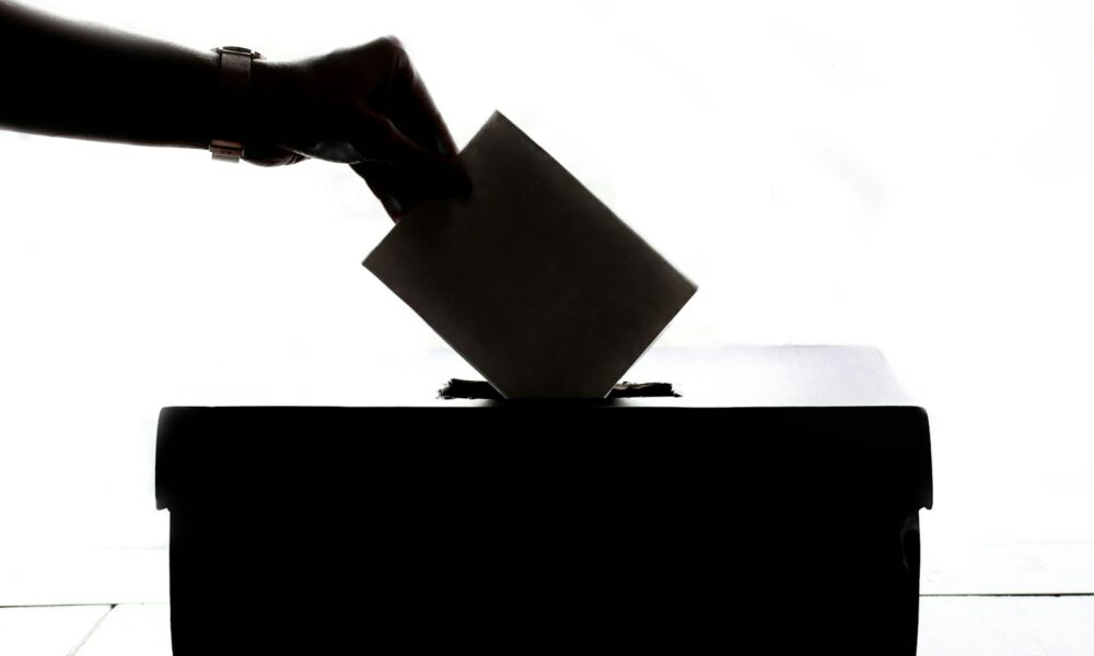 AEP vine cu precizări importante pentru parlamentare. Câți alegători sunt înscriși pe listele electorale