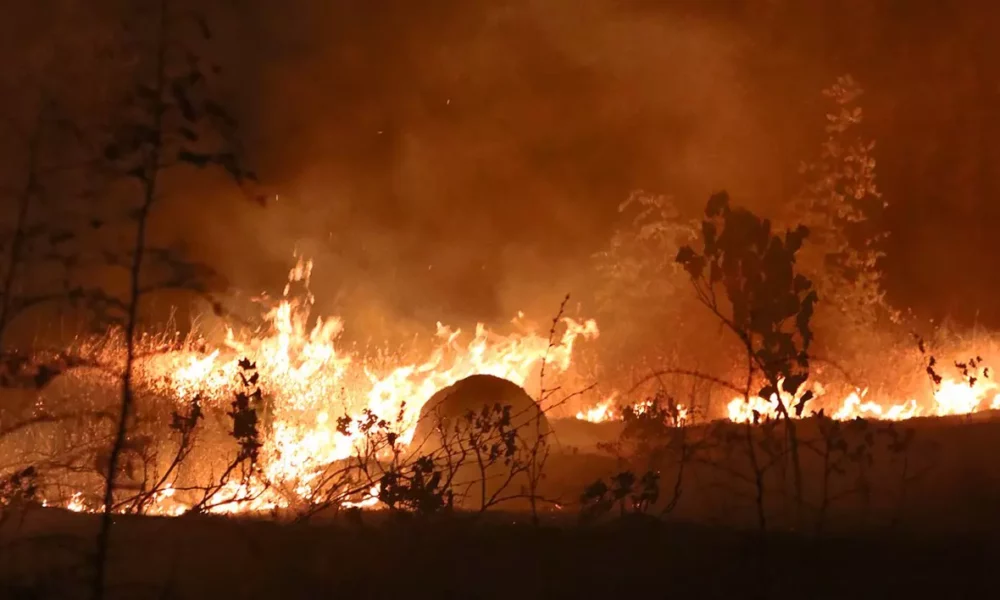 Flăcările mănâncă tot mai mult din Portugalia. Un val de incendii a adus serviciile de urgență la limita puterilor