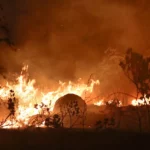 incendii macedonia