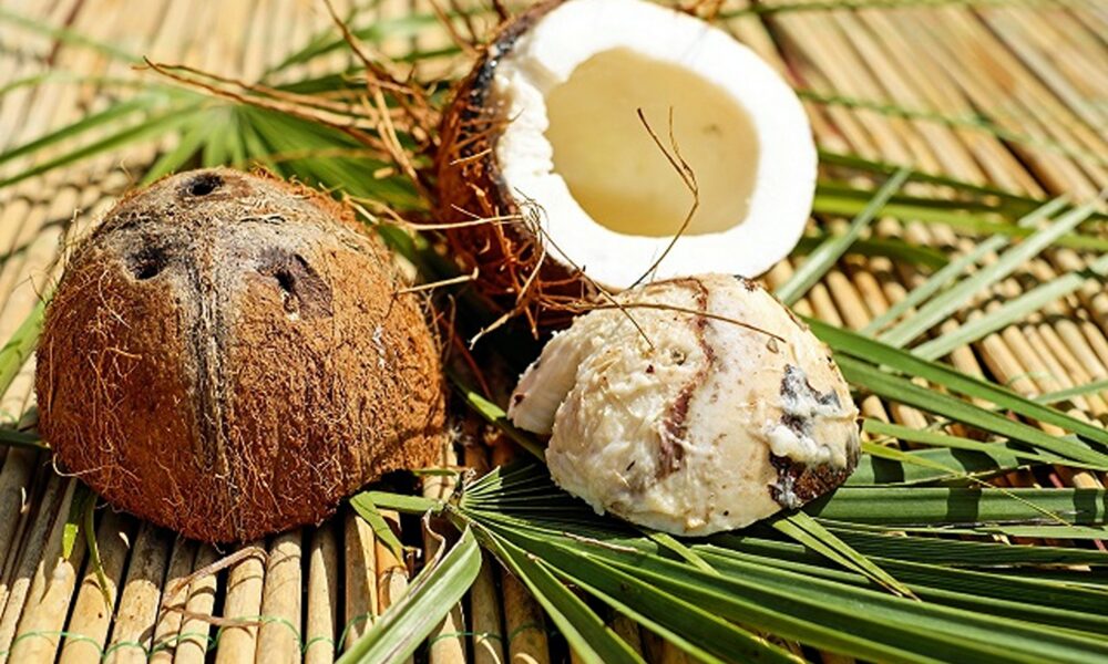 Statistica zilei. În 2023, importurile de nuci de cocos în UE au fost în valoare de 146 de milioane de euro