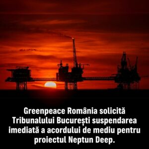 Greenpeace România cere suspendarea imediată a acordului de mediu pentru proiectul Neptun Deep