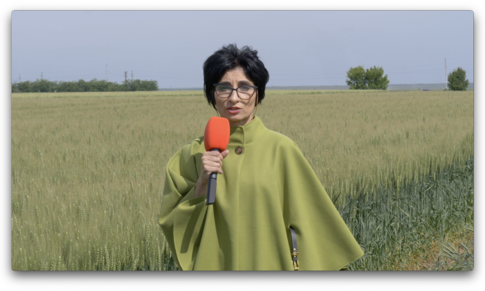 Gabriela Sava, un antreprenor media de cursă lungă. O emisiune agricolă rezistă de 15 ani pe micul ecran