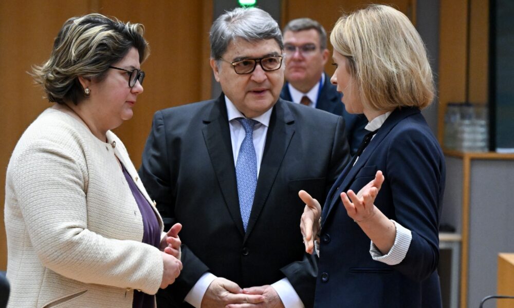 Prioritățile României pe agenda UE. Emil Hurezeanu participă la Consiliul Afaceri Externe