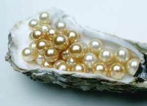 perle (sursǎ foto: thesprucecrafts.com)