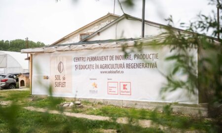 Prin proiectul „Sol și Suflet” se oferă o varietate de 52 de legume, verdețuri și ierburi aromatice, toate cultivate în mod natural (sursă foto: arhiva companiei)