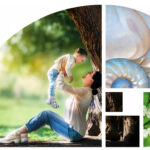 Prisum Healthcare a inițiat procesul de obținere a certificării B Corp: examenul de responsabilitate socială și de mediu pentru care s-a pregătit 31 de ani