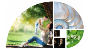 Prisum Healthcare a inițiat procesul de obținere a certificării B Corp: examenul de responsabilitate socială și de mediu pentru care s-a pregătit 31 de ani